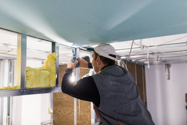 Best Spray Foam Insulation in Randallstown, MD