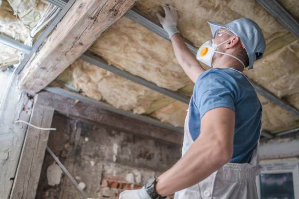 Best Insulation for Specific Applications in Randallstown, MD