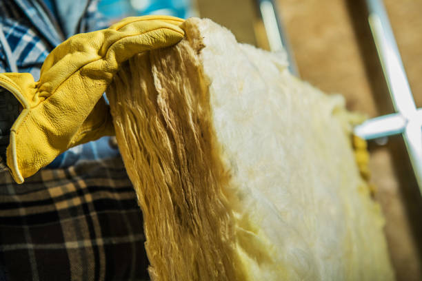 Best DIY Insulation Kits and Guidance in Randallstown, MD