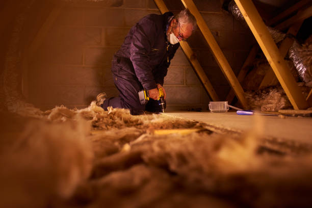 Best Geographic-Specific Insulation Services in Randallstown, MD